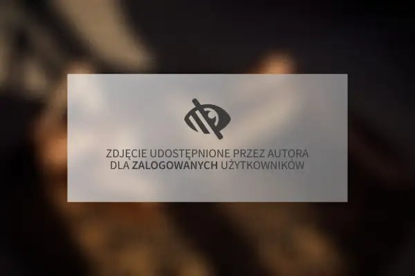 Zdjęcie