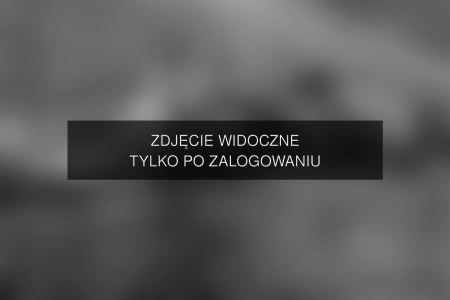 Zdjęcie dostępne po zalogowaniu – yanmcline