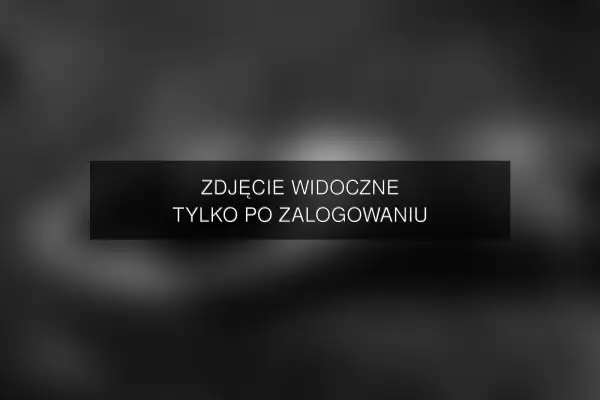 Zdjęcie