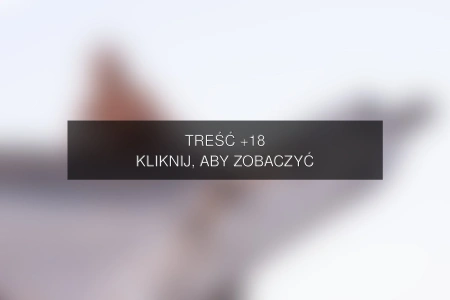 Treść +18 – fotografia autorstwa yanmcline