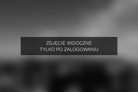 Zdjęcie dostępne po zalogowaniu – yanmcline