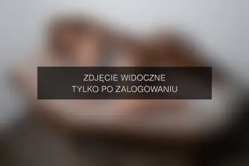 Zdjęcie