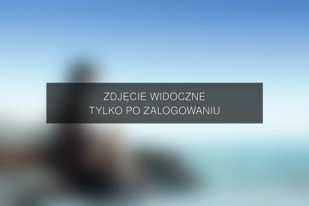 Zdjęcie dostępne po zalogowaniu – yanmcline