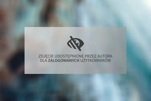Zdjęcie