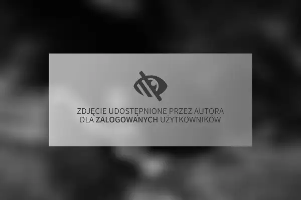 Zdjęcie