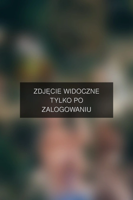Zdjęcie dostępne po zalogowaniu – yanmcline