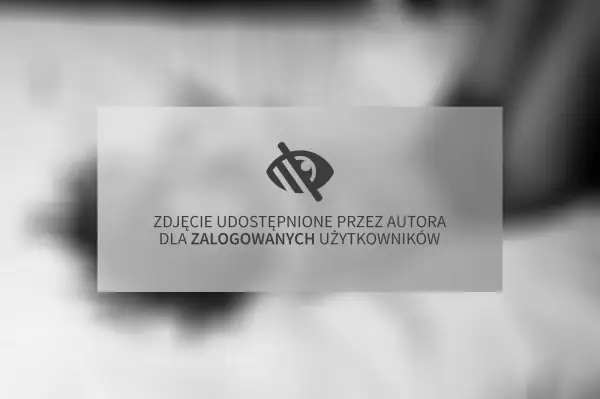Zdjęcie