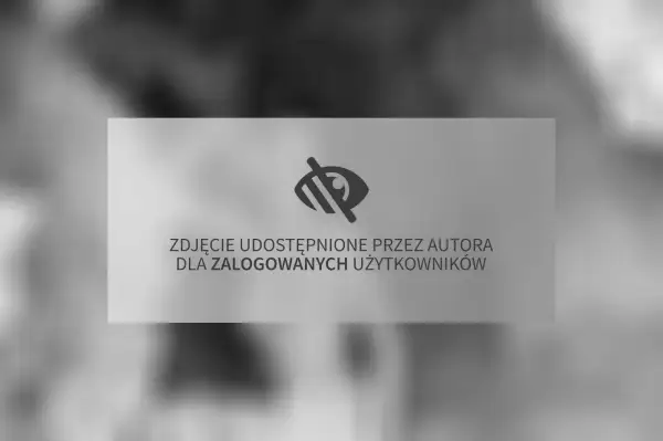 Zdjęcie