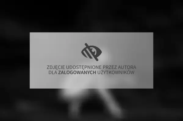 Zdjęcie