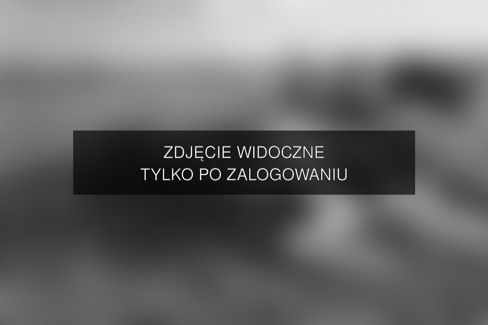 Zdjęcie dostępne po zalogowaniu – yanmcline