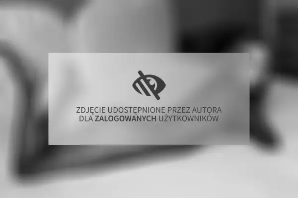 Zdjęcie