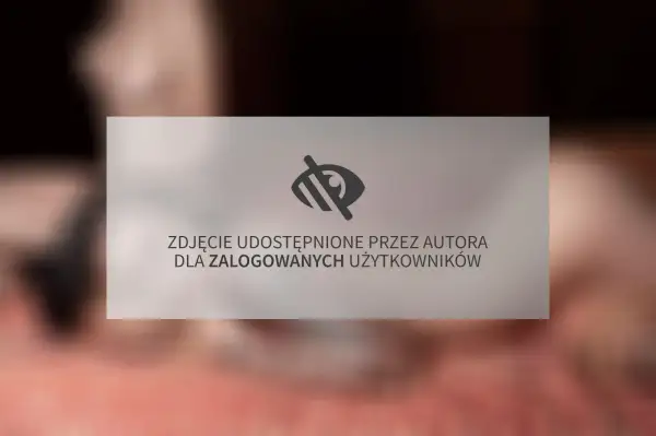 Zdjęcie