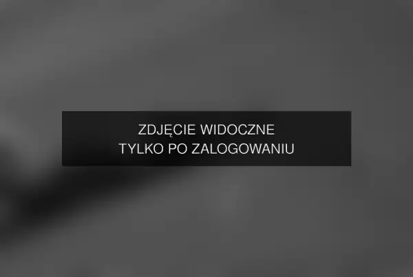 Zdjęcie