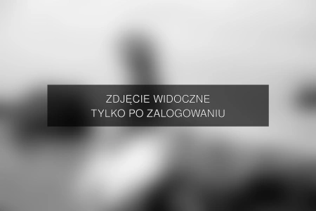 Zdjęcie dostępne po zalogowaniu – yanmcline
