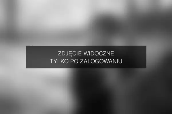 Zdjęcie