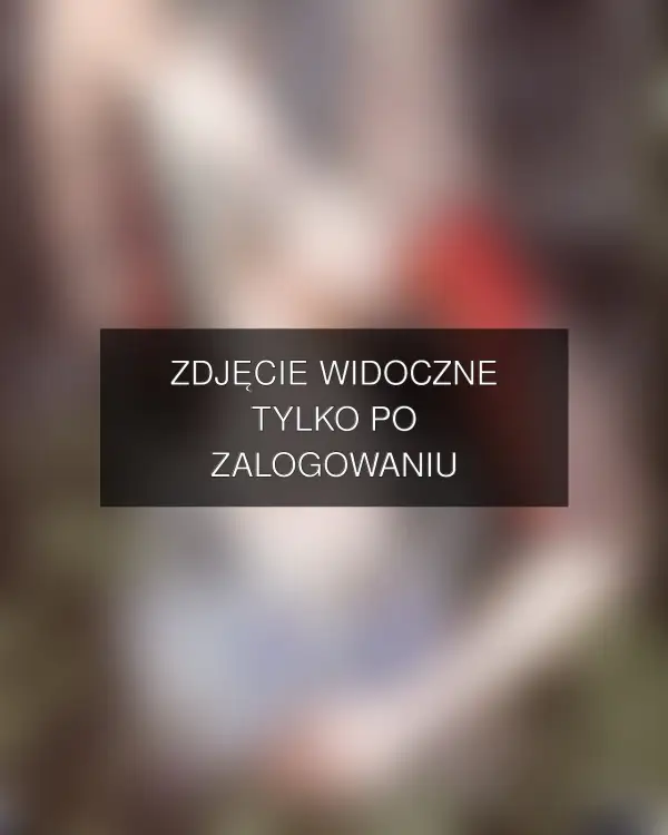 Zdjęcie