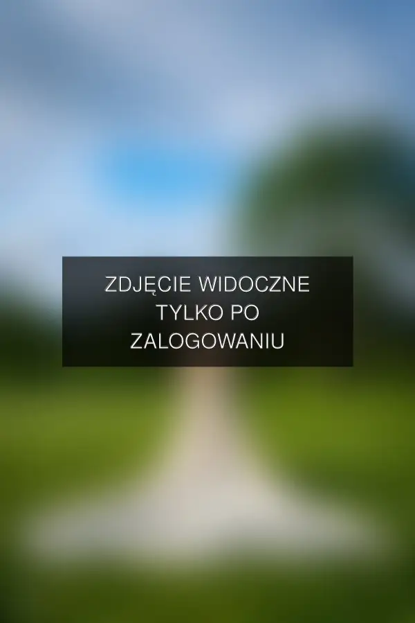 Zdjęcie