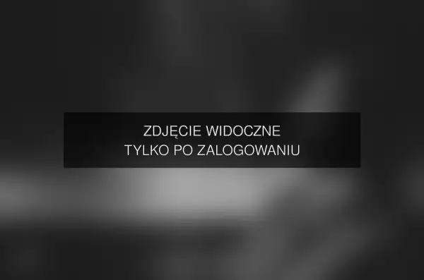 Zdjęcie