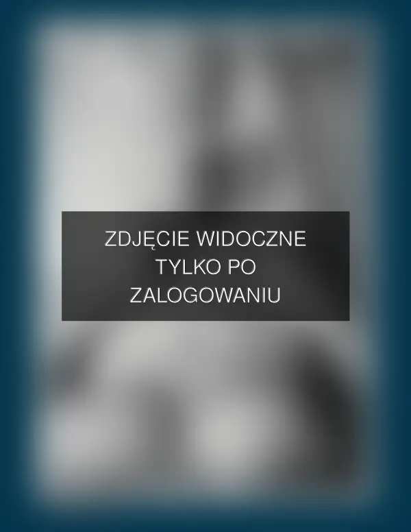 Zdjęcie
