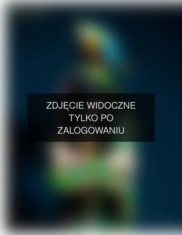 Zdjęcie