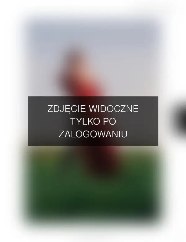 Zdjęcie