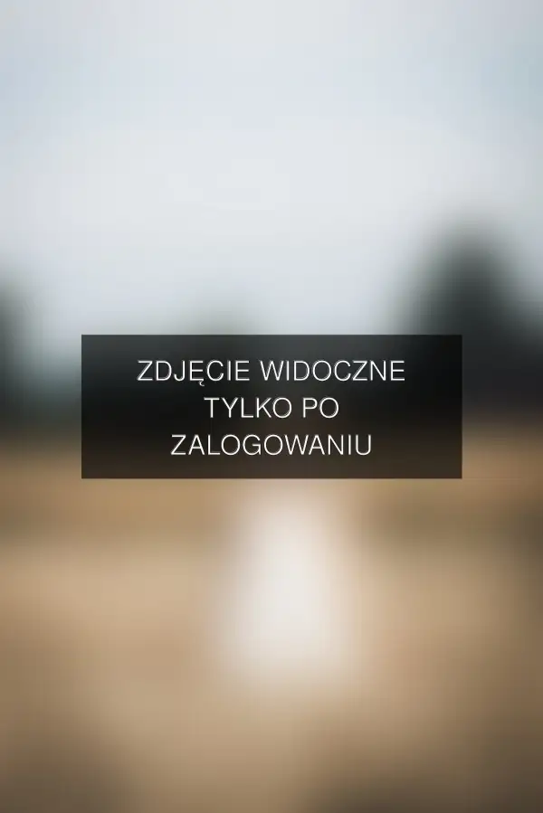 Zdjęcie