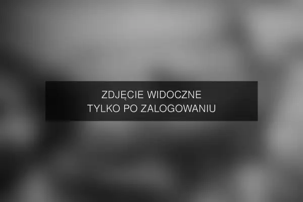 Zdjęcie