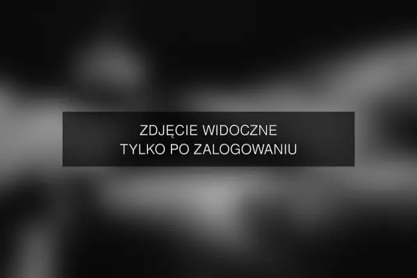 Zdjęcie