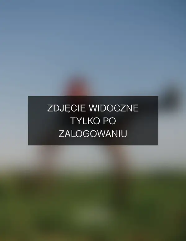 Zdjęcie