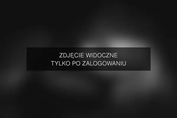 Zdjęcie