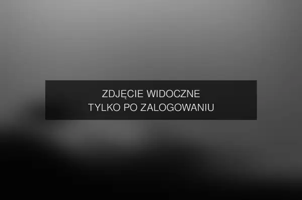 Zdjęcie