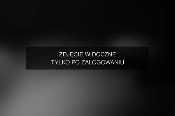 Zdjęcie
