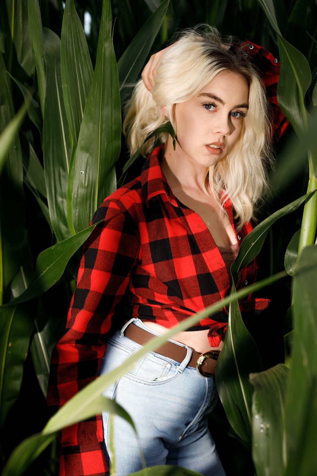 Portret Nikoli