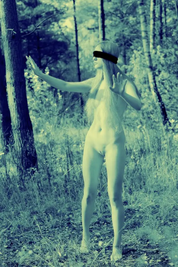 Zdjęcie
