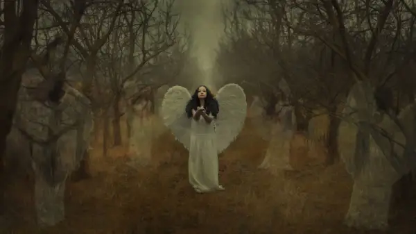 Zdjęcie