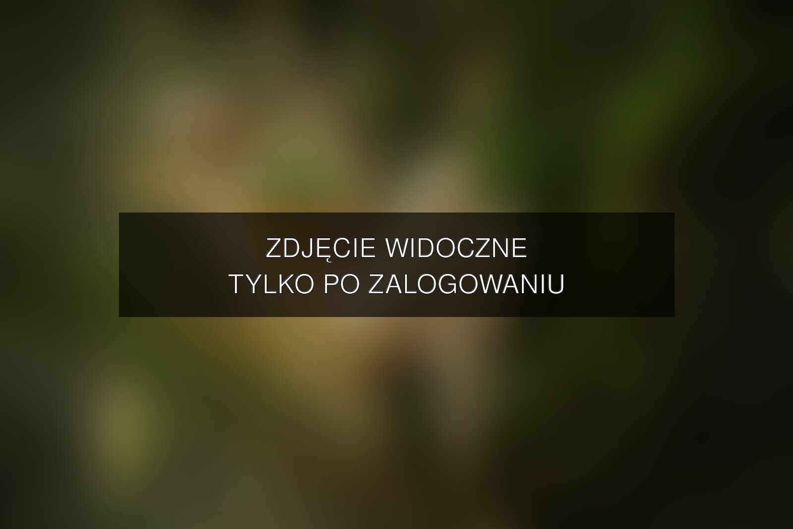 Zdjęcie