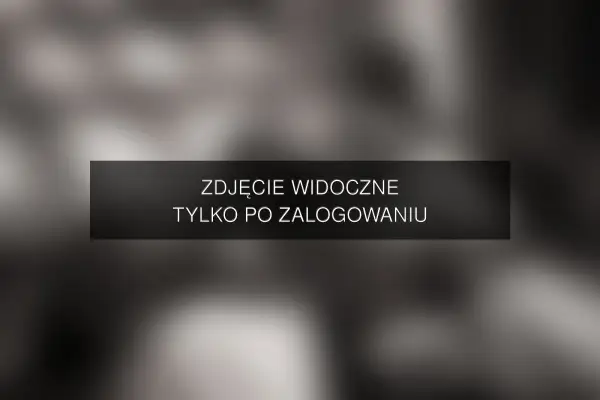 Zdjęcie