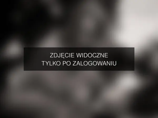 Zdjęcie