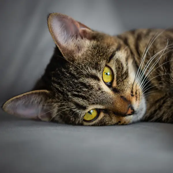 Zdjęcie profilowe FLOYD na 7px.pl