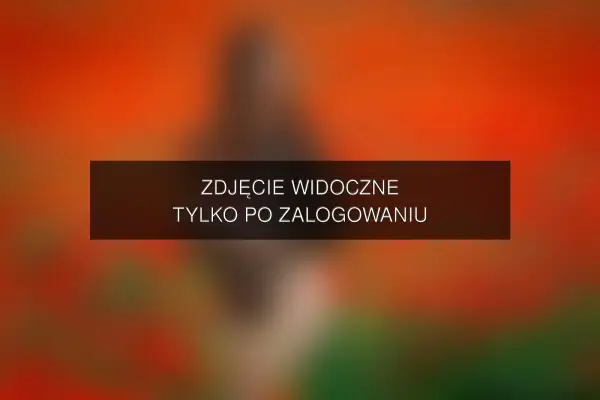 Zdjęcie