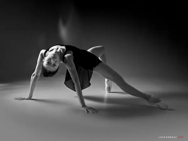 Fotografia – zdjęcie z portfolio Piotr Leczkowski