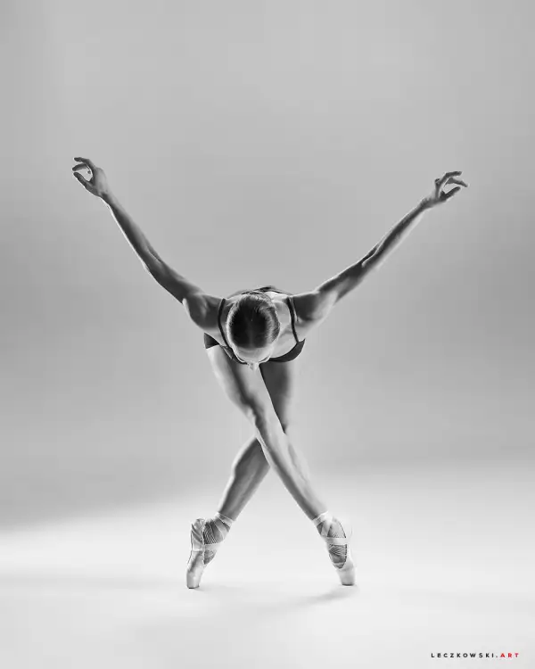 Fotografia – zdjęcie z portfolio Piotr Leczkowski