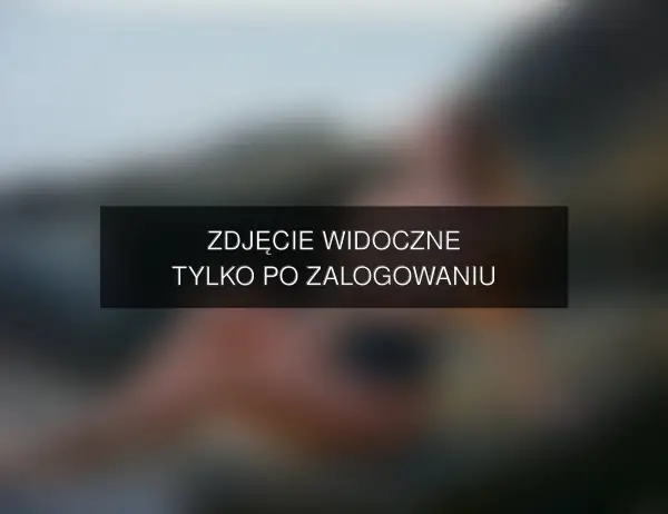 Zdjęcie
