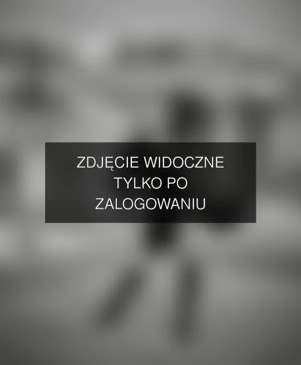 Zdjęcie