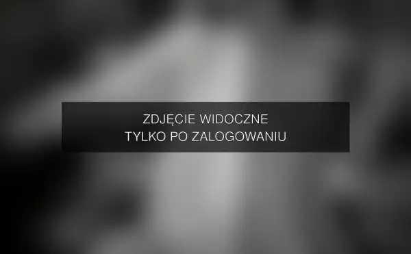 Zdjęcie