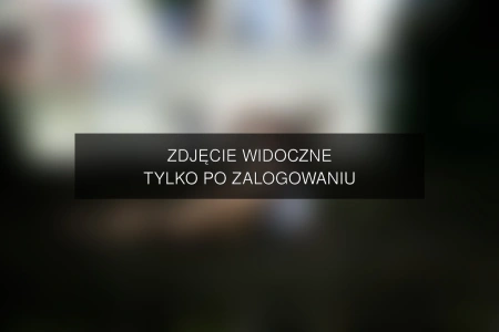 Zdjęcie