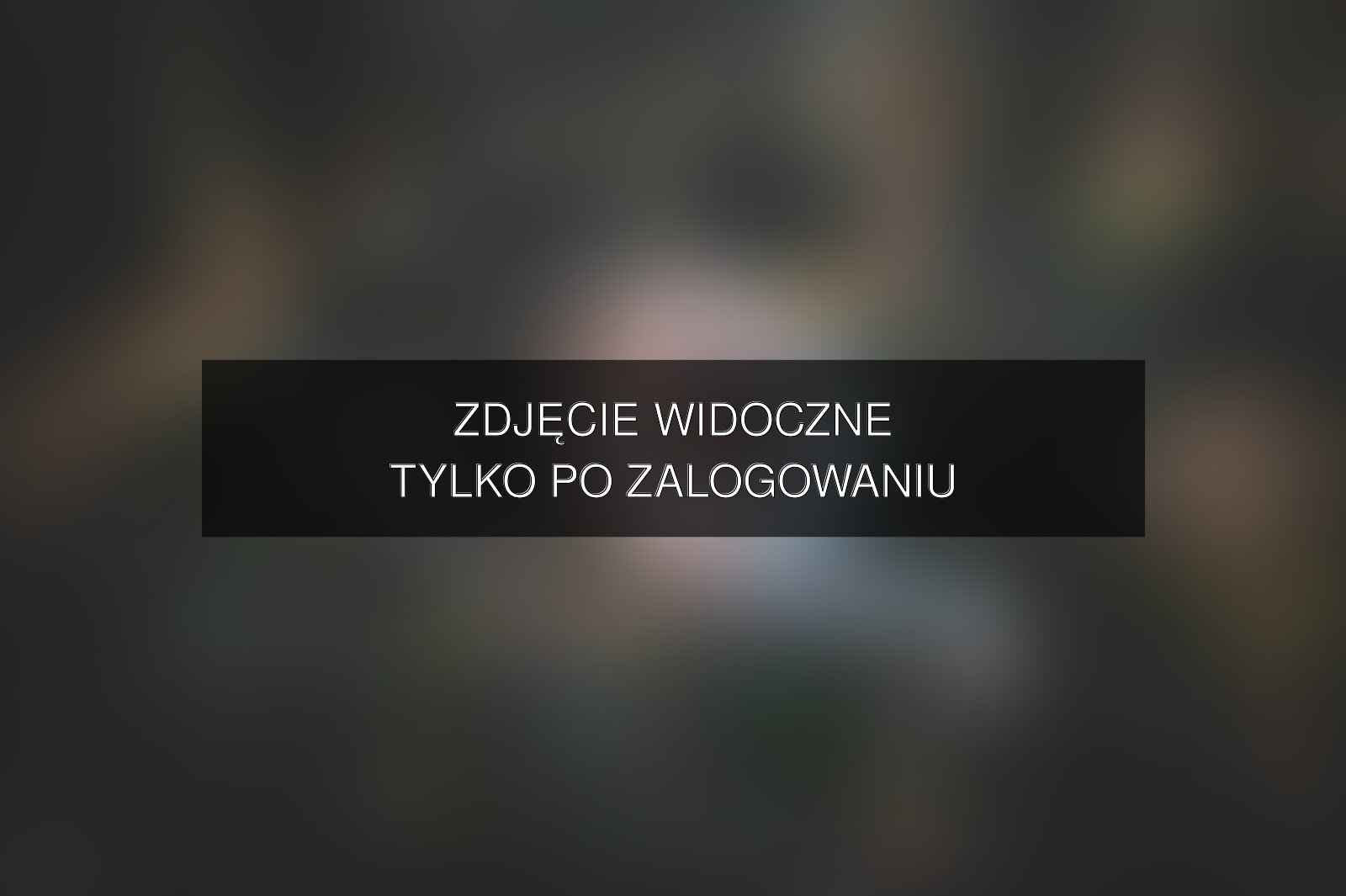 Zdjęcie