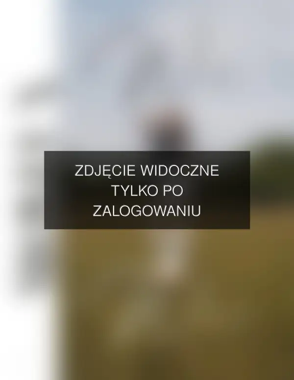Zdjęcie