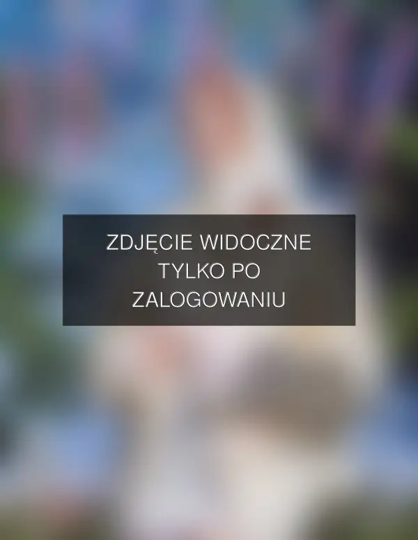 Zdjęcie