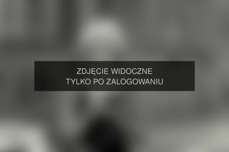 Zdjęcie dostępne po zalogowaniu – wytrazek